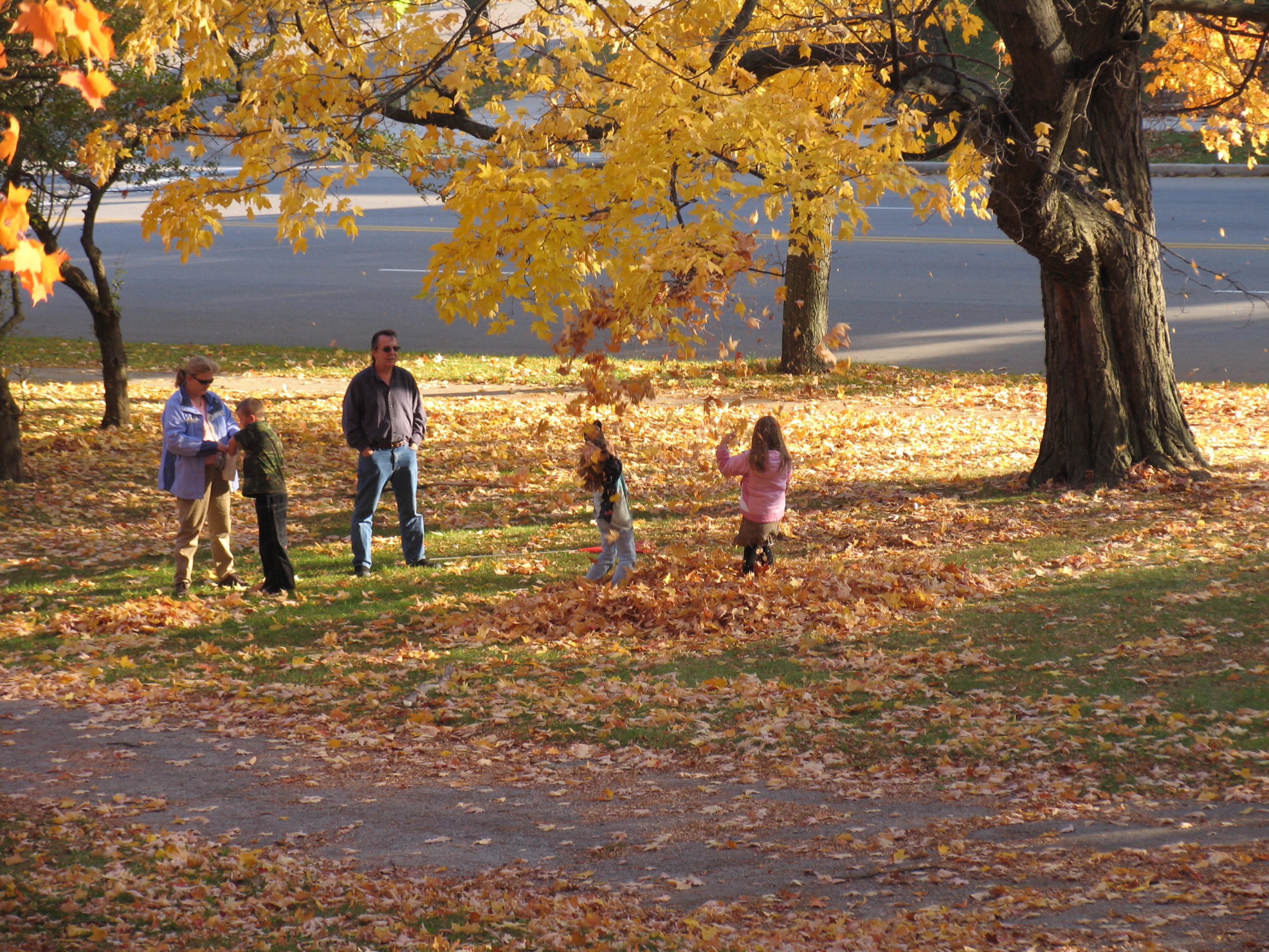 People walking through the park on a fall day