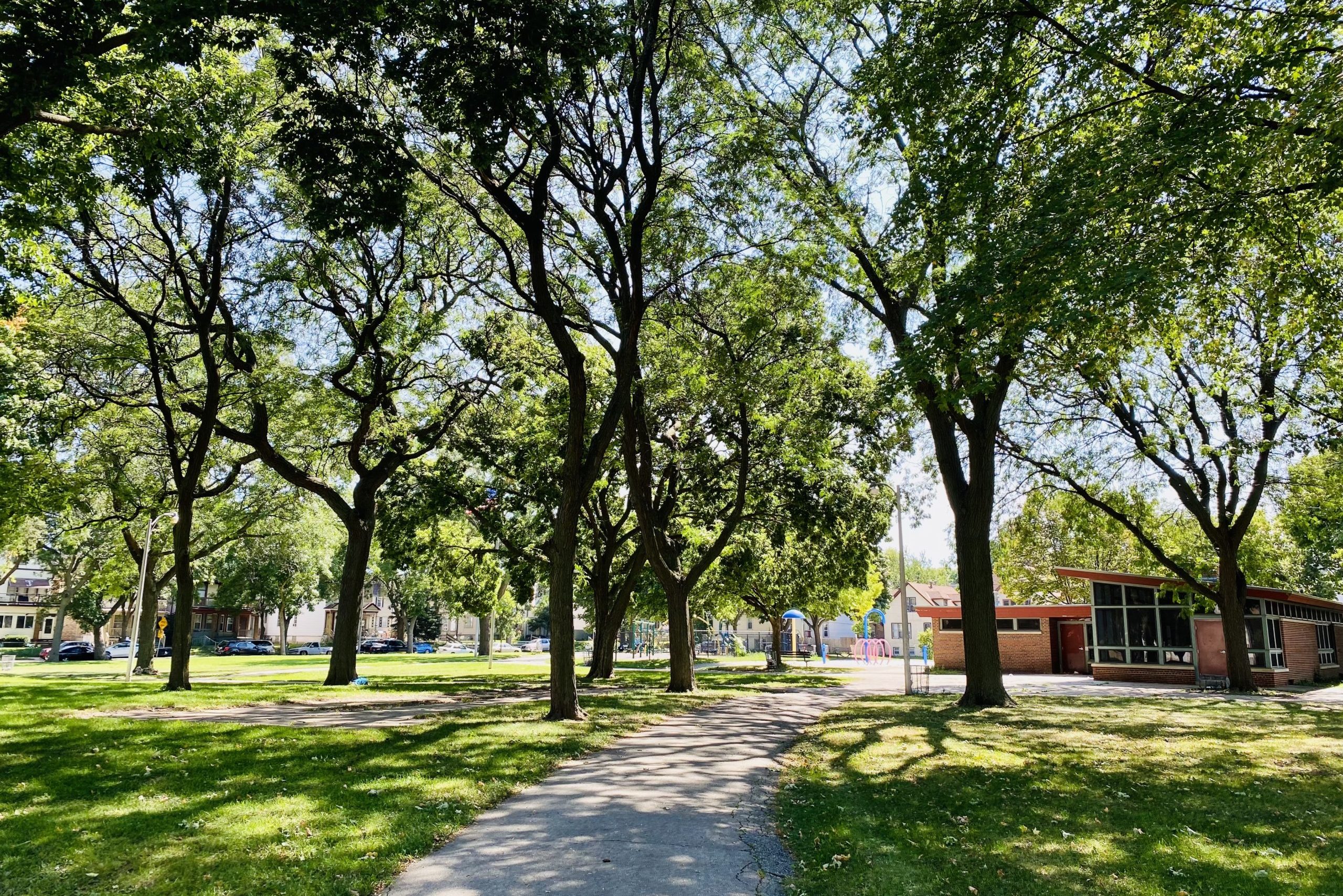 tree-lined path with park center and playground in the background
