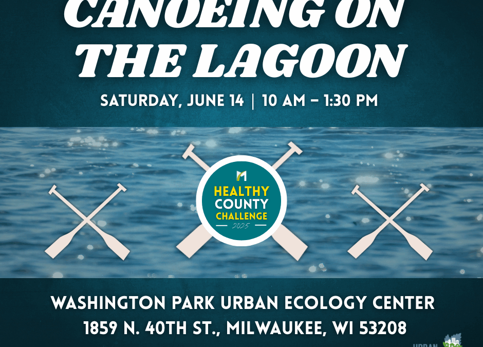 Canoeing on the Lagoon