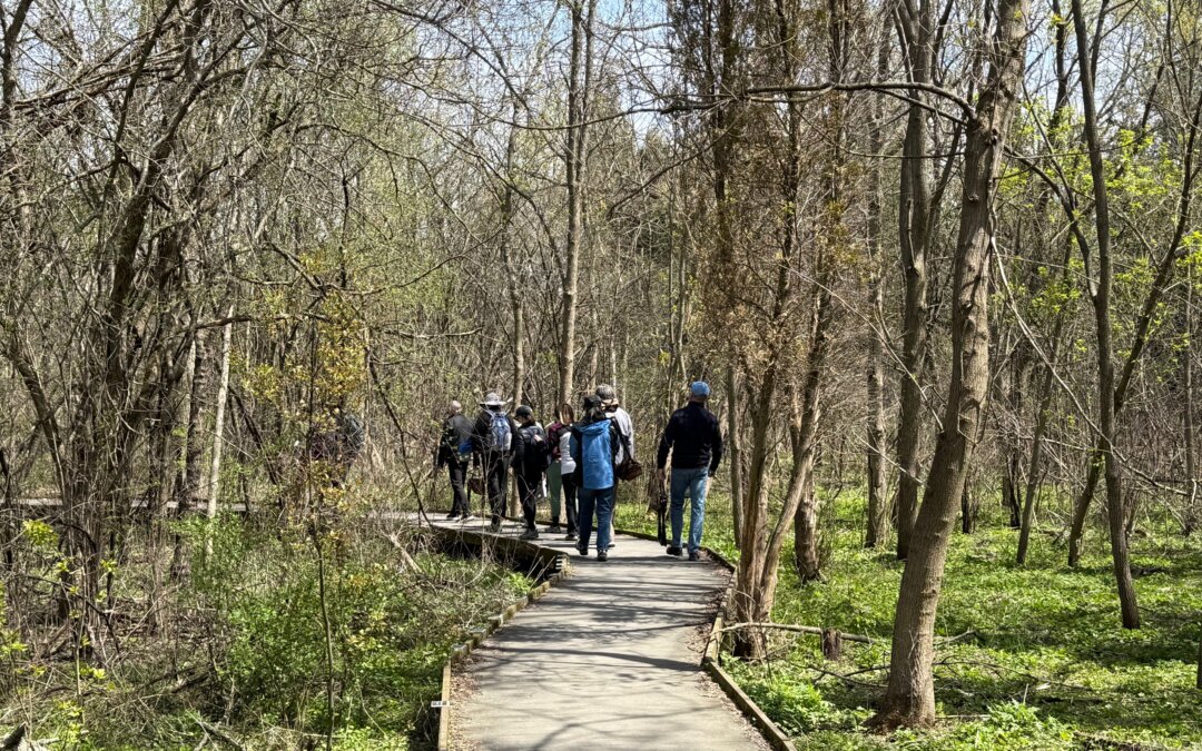 A Deep Nature Experience through Forest Bathing